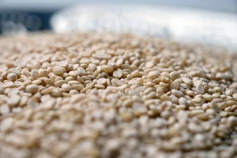 Split Urad Dal Texture in Spoon, Angled Top View Macro Food Photograph with.. Stock Photos