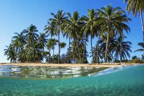 Split view with beach and palm trees, Lanai, Hawaii, United States of America Stock Photos