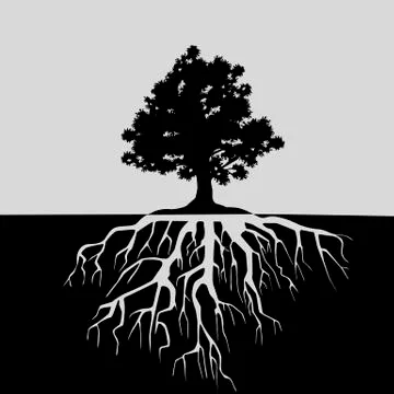 Split view of oak tree and its roots. Black and white illustration Stock Illustration