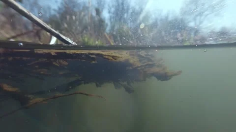 Split view of river water with macro particles vegetation and decaying matt.. Stock-Footage 334789087