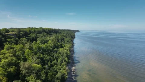 Split View Of The Sea And Trees On Land On A Sunny Summer Day Stock Footage 238666055