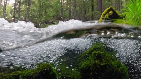 Split view, slow motion. Clearwater falls in Oregon, USA 스톡 동영상 285537133