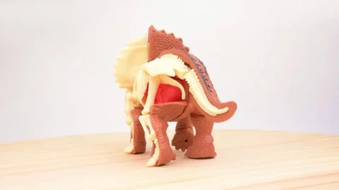 Split view triceratops toy with half outer skin and half exposed internal Vídeo Stock 344673287