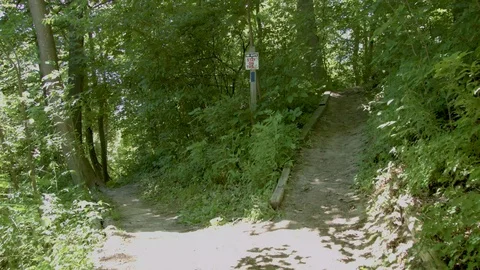 Split Walking Trail in Forrest Stock Footage 92774448