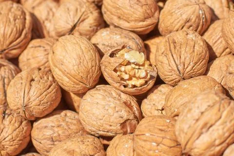 Split walnut on the background of whole nuts, concept: shared, fragility, ori Stock Photos
