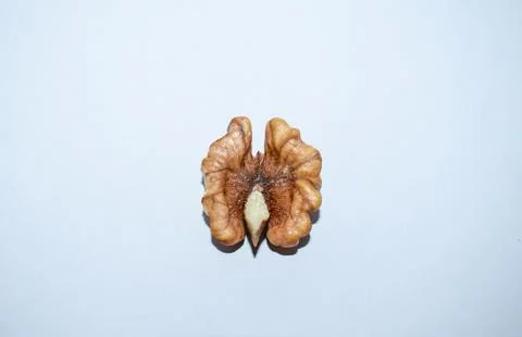 Split Walnut on Clean Background Stock Photos