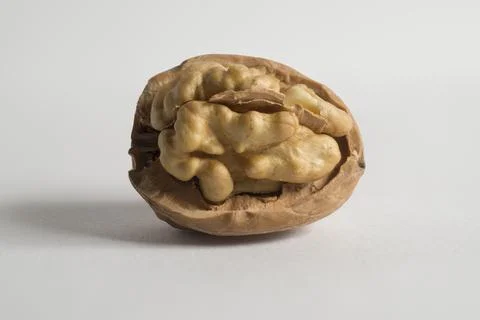 Split walnut on a light background 库存照片