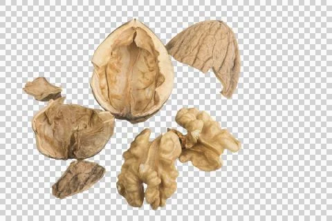 A split walnut Stock Photos