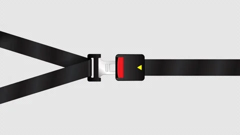 Split Webbing Seatbelt Animation Set Видео 348895842