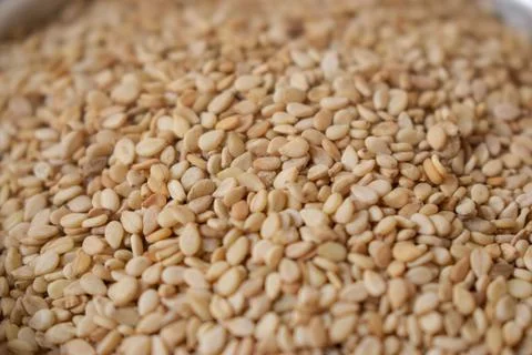 Split White Urad Dal. Vigna mungo Beans as an abstract background texture 스톡 사진