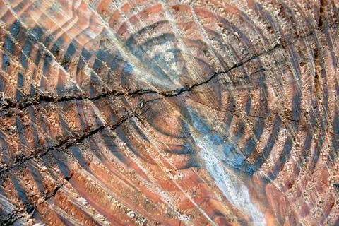 Split Wooden Pattern Stock Photos