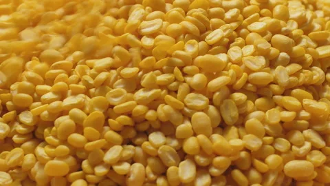 Split Yellow Mung Bean for food concept. Rotation Stock Footage 143657121