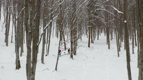 Splitboard and Ski in deep snow. Uphill in a line in the mountains forest woods Stock Footage 150555943