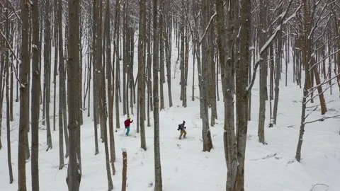Splitboard and Ski in deep snow. Uphill in a line in the mountains forest woods Video stock 150555979