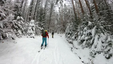 Splitboard and Ski in deep snow. Uphill in a line in the mountains forest woods Video stock 150556061