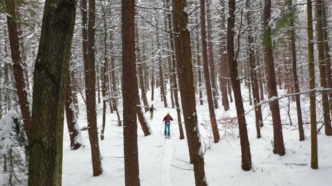 Splitboard and Ski in deep snow. Uphill in a line in the mountains forest woods Video stock 150600049