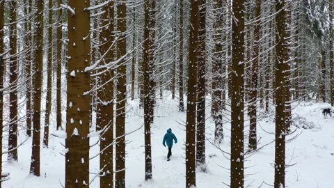 Splitboard and Ski in deep snow. Uphill in a line in the mountains forest woods Stock-Footage 150612477