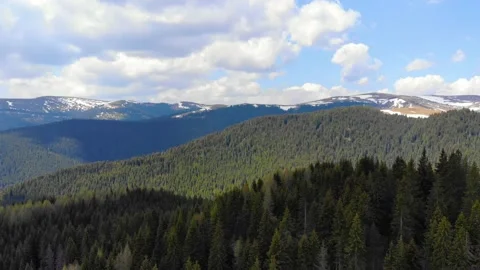 Splitboard and Ski in deep snow. Uphill in a line in the mountains forest woods 스톡 동영상 150663966