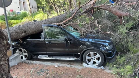 Split,Croatia-08-07-2025: Fallen Tree Crushing Car After Hurricane Stock Footage 312744385