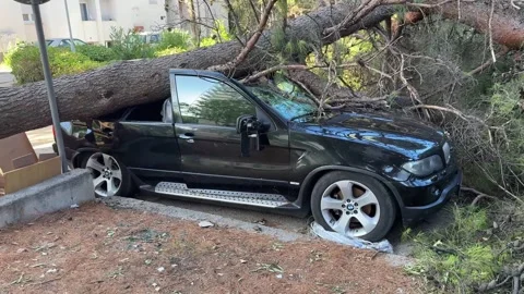 Split,Croatia-08-07-2025:  Fallen Tree Crushing Car After Hurricane Stock Footage 312744680