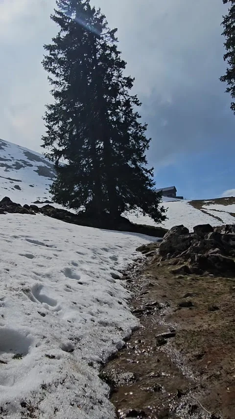 Splittet mountaintral Stockbeeldmateriaal 319361221