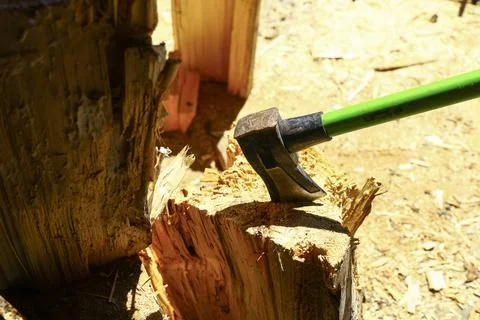 Splitting axe embedded in freshly cut firewood log during wood chopping Foto stock