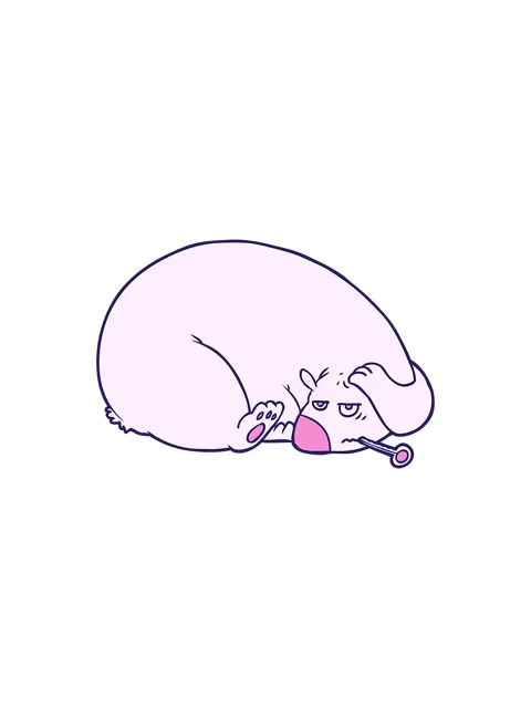 Splitting effect animation of bear with a sore head Stock Footage 324345605