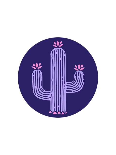 Splitting effect animation of a cartoon cactus Stock Footage 324074291