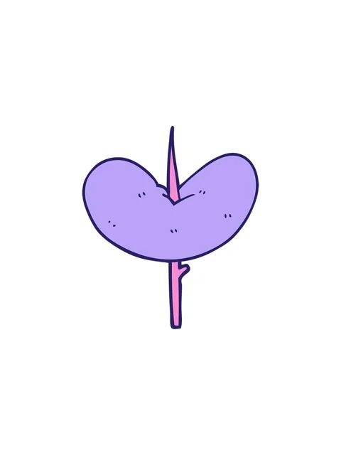 Splitting effect animation of cartoon doodle of a sausage Stock Footage 324485509