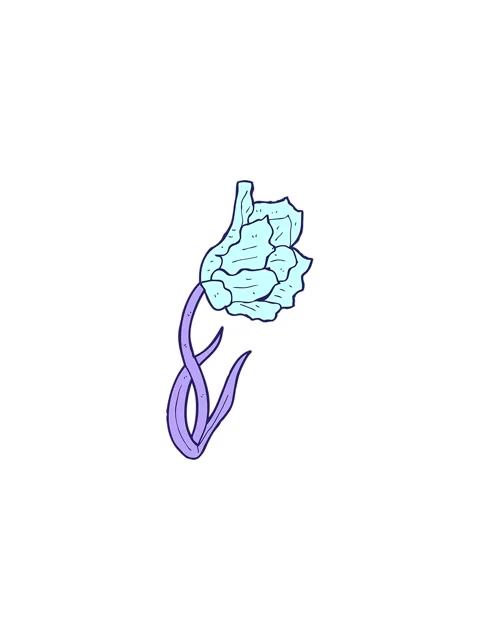 Splitting effect animation of cartoon flower Stock Footage 324269998