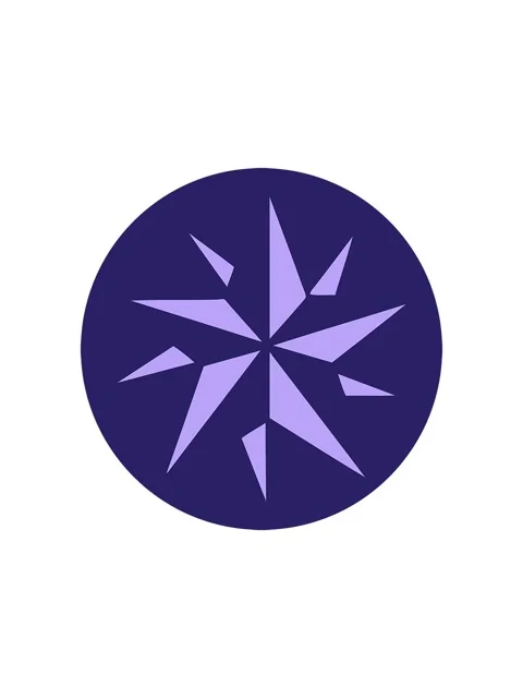 Splitting effect animation of iconic tattoo style illustration of a star Stock Footage 324204370