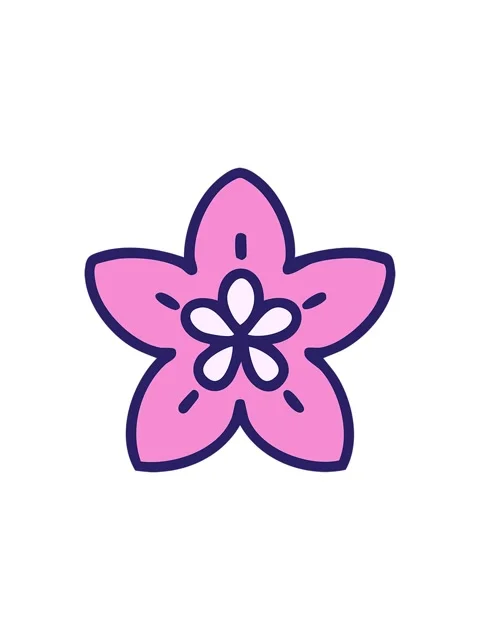 Splitting effect animation of a singular japanese style flower design Stock Footage 324144114