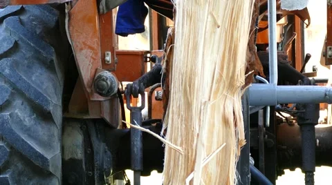 Splitting firewoods with log splitter, close up Stock Footage 63122384