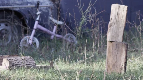 Splitting a log 스톡 동영상 119099401