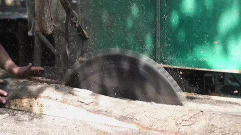 Splitting logs using a circular saw blade Stock Footage 272287918