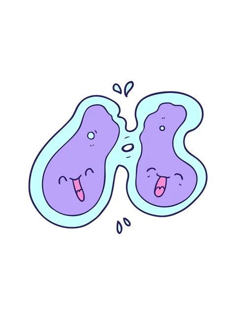 Splitting motion animation of cartoon cell dividing Stock Footage 324124486