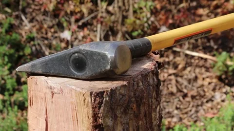Splitting a piece of firewood Stock Footage 43734253