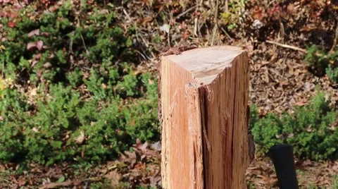 Splitting a piece of firewood Stock Footage 43734365