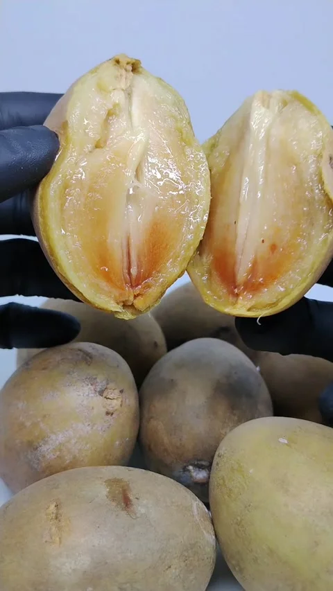 Splitting a sapodilla fruit. The hand shows the fruit halved Stock Footage 330644636