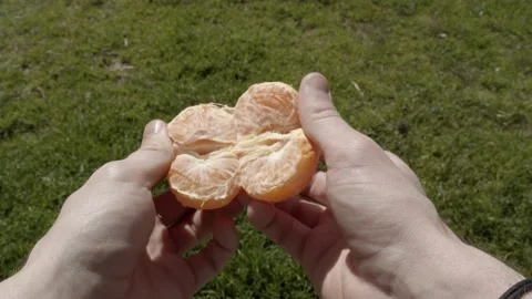 Splitting a Tanerine Video stock 150054376