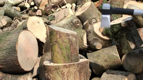 Splitting wood with axe Stock Footage 241903868