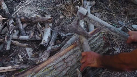 Splitting Wood- Close-Up of Logs Breaking Stock Footage 287644845