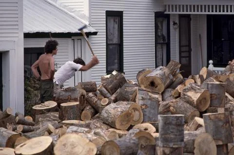 Splitting wood. Stock Photos