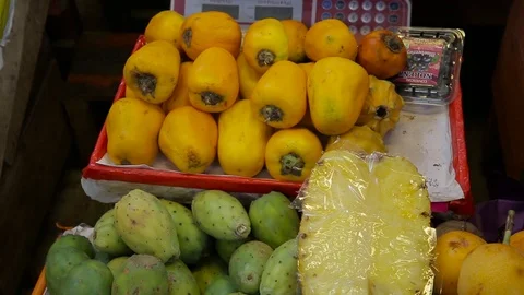 SPN 0775 13 스톡 동영상 103031573