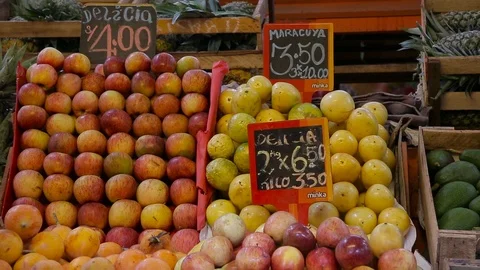 SPN 0775 20 Stock Footage 103031748