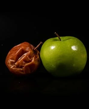 Spoiled apple. Freshness vs decay. Rotten apple and fresh apple. Quality cont Stock Photos