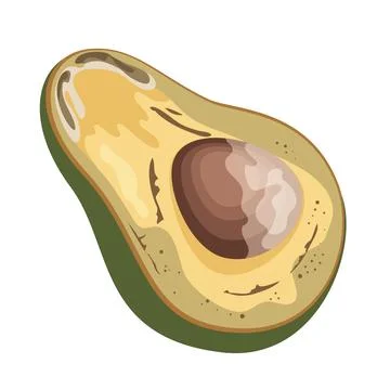Spoiled avocado fruit Stock-Illustration
