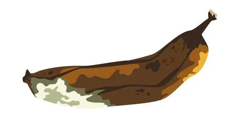 Spoiled banana fruit Stock Illustration