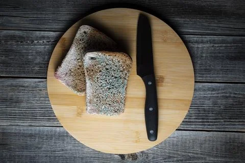 Spoiled bread Stock Photos