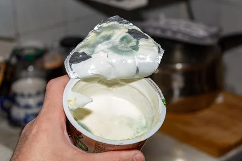 Spoiled dairy product in plastic container with green mold on the surface 스톡 사진